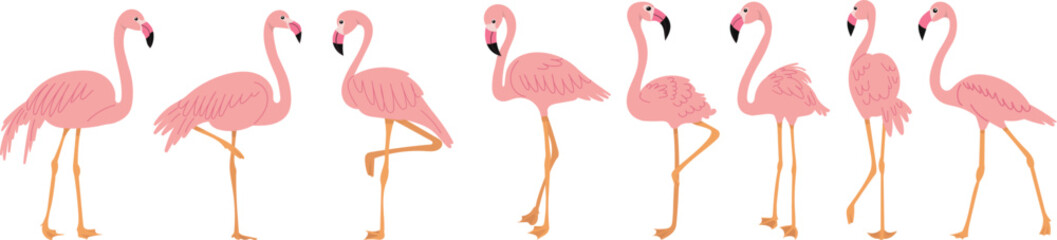 pink flamingos in flat style