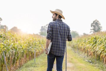 Farming, spade and portrait of man or farmer in agriculture, sustainable garden or small business owner in field. Farm, land and face of happy person with plants, eco friendly and agro sustainability