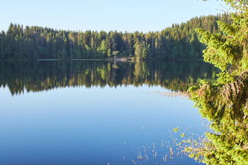 Early morning. Beautiful forest mountain lake. Trees reflected in the water