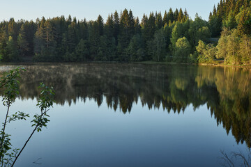 Early morning. Beautiful forest mountain lake. Trees reflected in the water