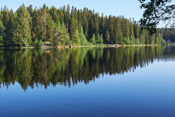 Early morning. Beautiful forest mountain lake. Trees reflected in the water