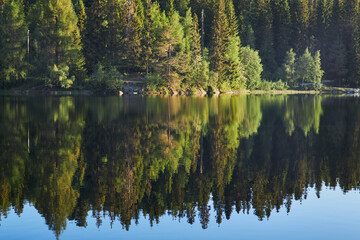 Early morning. Beautiful forest mountain lake. Trees reflected in the water