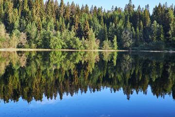 Early morning. Beautiful forest mountain lake. Trees reflected in the water