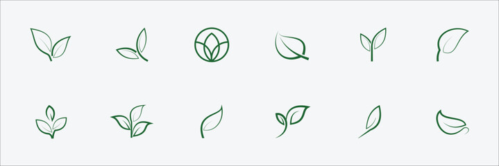 LEAF ICON SET