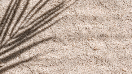 Natural neutral beige beach sand textured background with tropical palm tree leaf sunlight shadow silhouette, simple lifestyle backdrop in earthy color