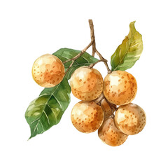 fruit organic watercolor paint tropical fruit fresh ingredient