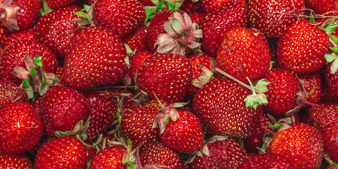 Strawberry background. Ripe fresh fruits, seasonal crop. Healthy superfood, vitamin