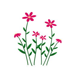 Wild flowers illustration