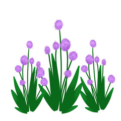 Wild flowers illustration