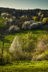 Spring evening landscape at Lower Silesia, Poland