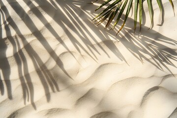 Obraz premium Beige Sand Background with Palm Leaf Shadow, Space for Text