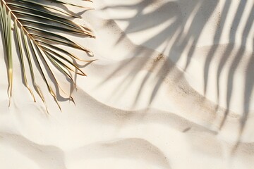 Beige Sand Background with Palm Leaf Shadow and Space for Text