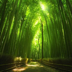 Serene Pathway Through a Lush Bamboo Forest