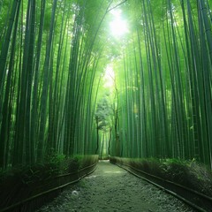 Fototapeta premium Bamboo Forest: A Path Through the Heart of Nature