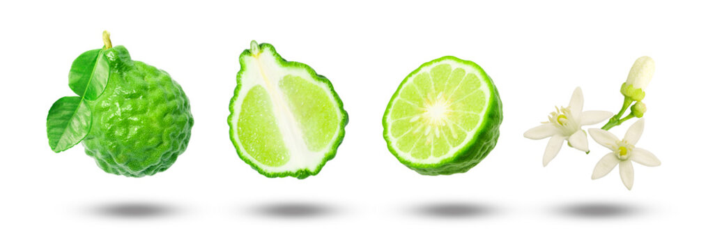 Flying bergamot with slices and flower collection isolated on white background.