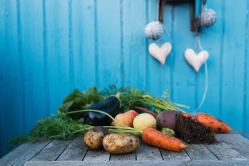 frisches geerntetes Obst und Gemüse aus dem Schrebergarten, Selbstversorger und Anbau frische Ernte