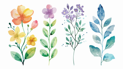 Watercolor Illustration Four of flowes and leaves vector