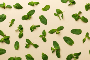 Fresh green mint leaves on white background, Mint leaves pattern Top view with copy space