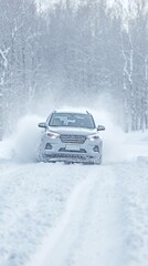 Elegance Car in the Hush of the Snowy Winter