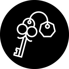 Vector Design Key Icon Style
