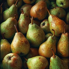 Vivid Vintage: A Collection of Perfectly Ripe Pears