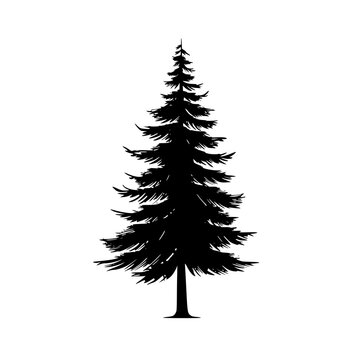Silhouette of Pine Tree, Black and white silhouette of a pine tree with layered branches, showcasing its symmetrical and elegant shape.