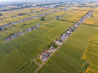 Huai 'an, Jiangsu, China: A golden wheat harvest is in sight  On May 25, 2024, the countryside of...