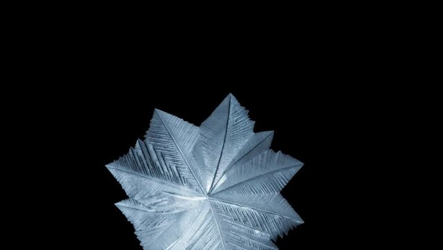 Natural ice pattern created from freezing soap bubble. Abstract winter and Christmas holidays background.