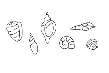 Line shell set. Outline marine icons, emblem logo or badge design. Minimal style illustration. Sea ocean summer vacation. Beach clam and mollusk. Vector isolated decorative minimalistic illustration