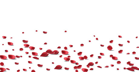 Floating red rose petal isolated on white. Background concept for love greetings on valentines day and mothers day. Space for text. rose for love Beautiful floral