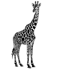 Silhouette of a Standing Giraffe, Black and white silhouette of a giraffe standing tall, showcasing its distinctive patterned coat and long neck.