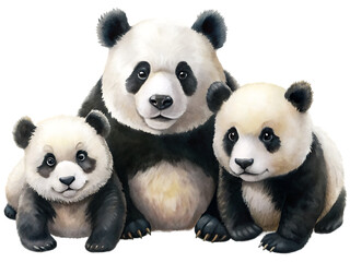 Obraz premium Panda bear with bamboo