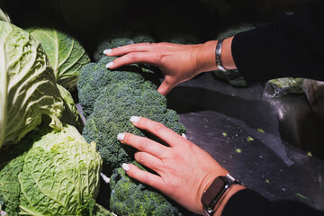 Girl's hands choosing brockley and cabbage in the supermarket.