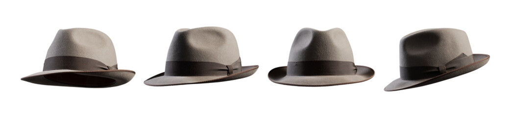 Collection of fedora hats from different points of view