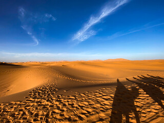 Karawane in der Sahara: Schatten von Kamelen auf den Sanddünen