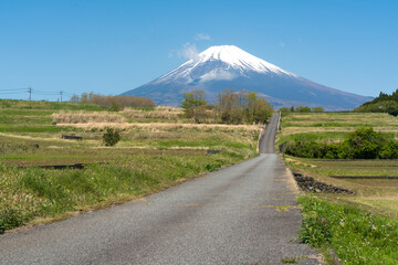 初夏の富士山に向かう道  © fotoriatonko