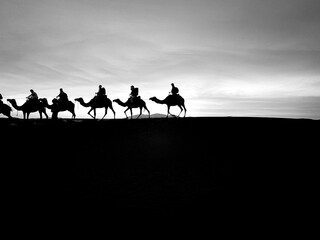 Karawane der Stille in der Sahara 