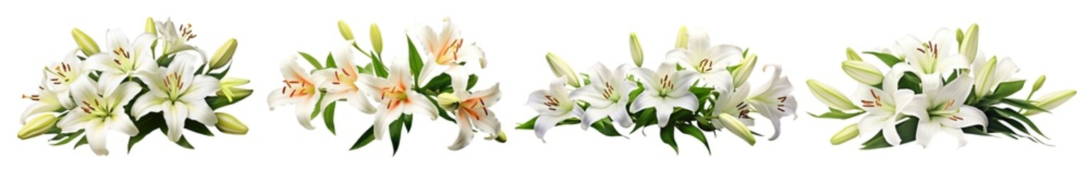 Set of elegant blooming lilies with buds, cut out © Yeti Studio