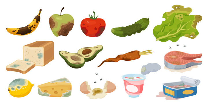 Expired products. Organic waste. Rotting damaged food. Spoiled vegetables or fruits. Biodegradable recycle garbage. Cheese and bread with mildew. Compost elements. Recent vector set