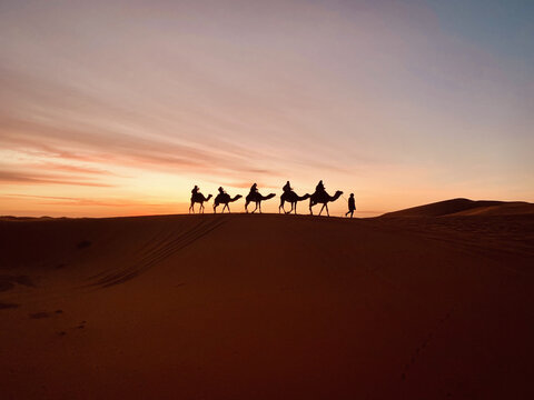 W&uuml;stenkarawane: Kamele im Sonnenuntergang