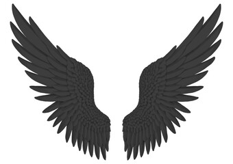 ベクター　羽ばたく黒い翼　悪魔　カラス　黒鳥