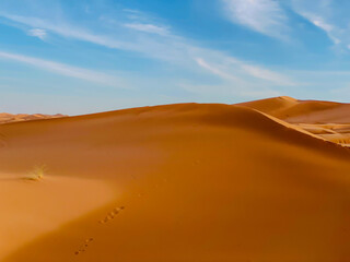 Sahara Wüste