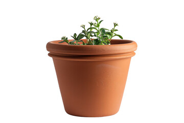 Traditional Clay Flower Pot Isolated on Transparent Background