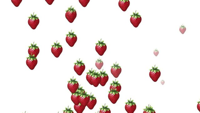 Falling fruit pattern red strawberry isolated on white background animation video.
