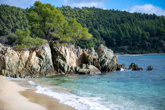 wild nature of Halkidiki, Greece