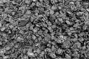 Granola Texture Background for Print, Design, Poster, or Food Industry Use