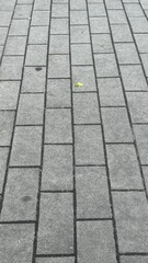 paving background, paving texture.
