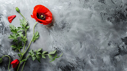 Poppy flower and leaves on grey table top view with space