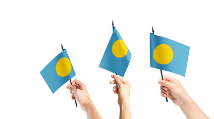 A group of people are holding small flags of Palau in their hands.
