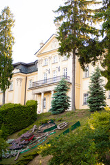 Beautiful summer park with trees and bushes